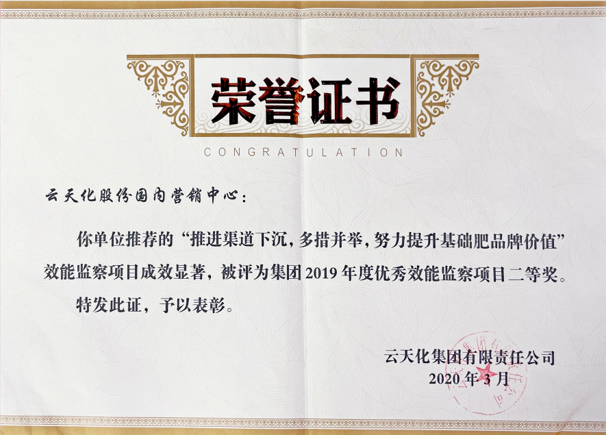 農資-2019-集團“優(yōu)秀效能監(jiān)察項目”...