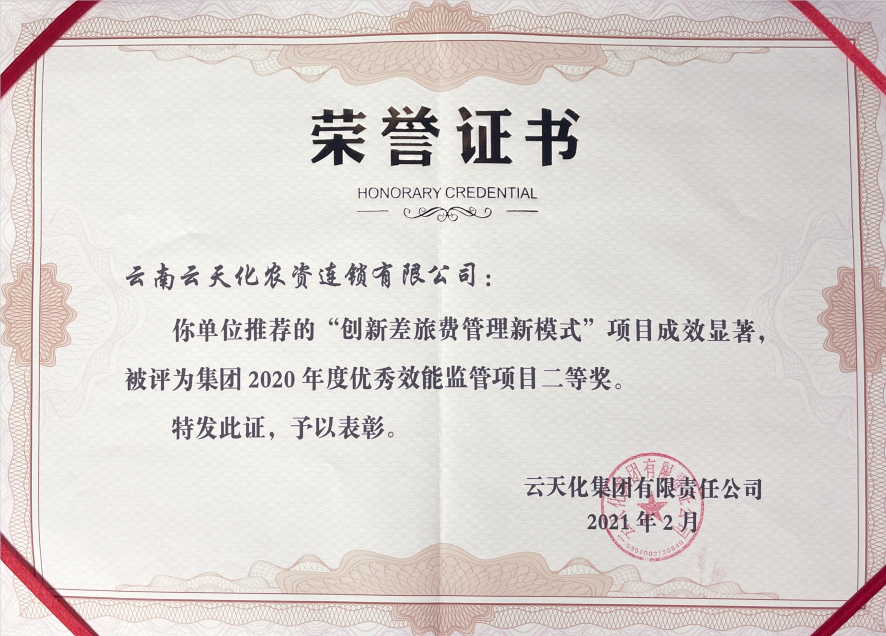 農資-2020-集團“優(yōu)秀效能監(jiān)察項目”...